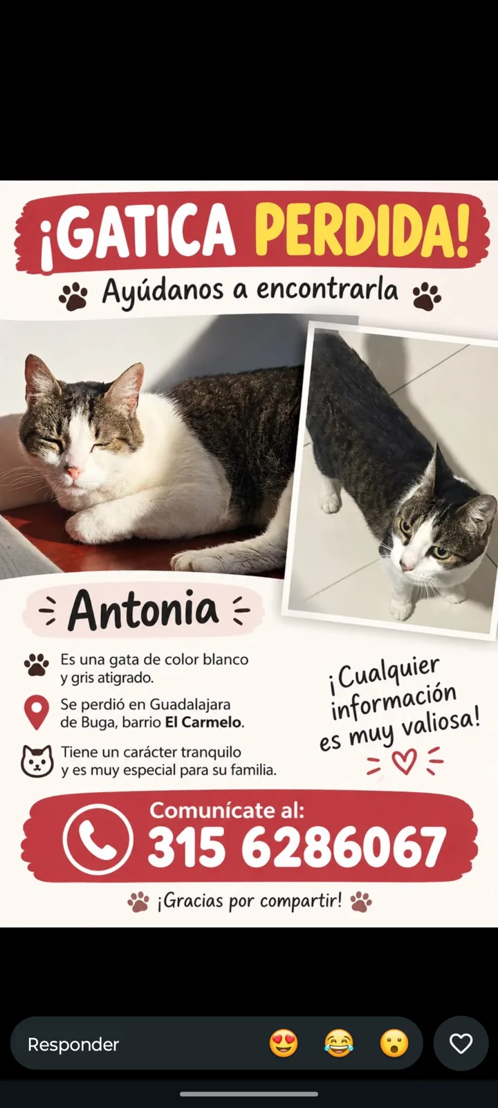 Foto de Antonia